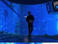 -成都浩海立方海洋公园