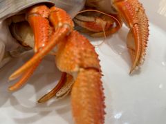 -皇朝海鲜酒店