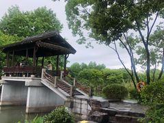 -西溪国家湿地公园