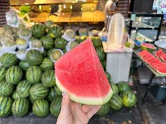 -艾力江和田馕坑烤肉店