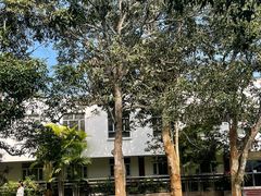-中国科学院西双版纳热带植物园