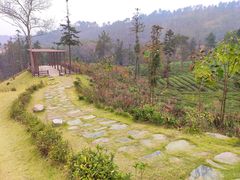 -黄陂区野村谷景区