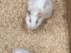 -上海大自然野生昆虫馆