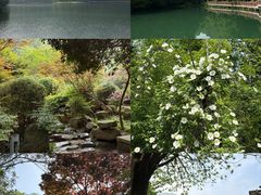 -桃花岭景区