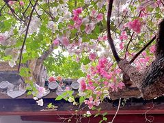 -深圳国际园林花卉博览园