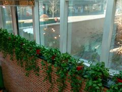 -金豆角砂锅焖面(安贞店)