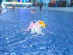 -海豚堡温泉水乐园