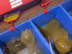 -状元甲·湖北甲鱼大王(汉口火车站店)