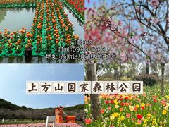 -留园