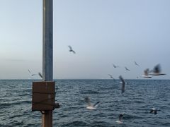 -大连海昌东方水城