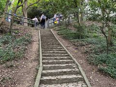 -上海佘山国家森林公园天马山园