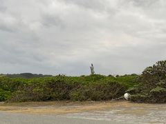 -七星潭蓝天广场