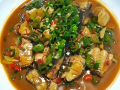 -全乐鱼馆·淳牌有机鱼直营店