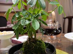 -鹰龙海畔度假酒店(咸祥店)
