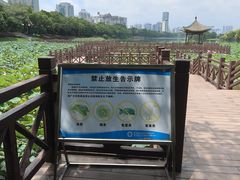 -南宁南湖公园