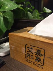 -艾嘉形象