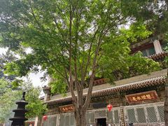 -五台山风景名胜区