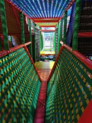 -爱丽丝奇幻乐园