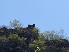 -野三坡百里峡景区