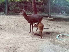 -天津盘山风景名胜区