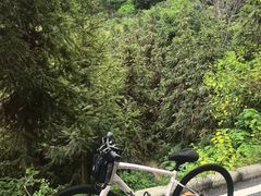 -火炉山森林公园