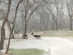 -南山风景名胜区