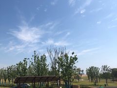 -盘龙城国家考古遗址公园