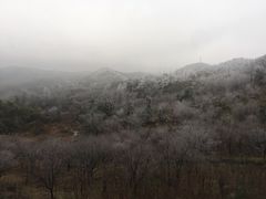 -四明山国家森林公园
