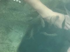 -中华郡温泉
