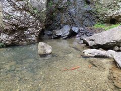 -雁荡山三折瀑景区