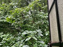 -张乐平故居