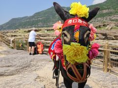 -陕西黄河壶口瀑布旅游区