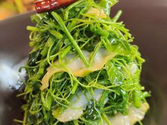 辣木苗拌螺片-虹之森·小馆