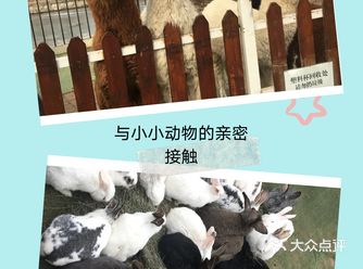 与小小的动物园的亲密接触
