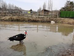 -前小桔亲子创意农场·草莓采摘·露营烧烤