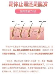 -Bollins波林丝•专研护发中心