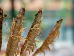 -新花城蟹粉馆(乌鲁木齐店)