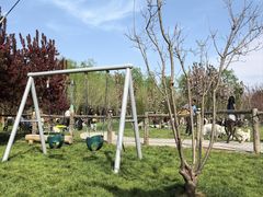 -爪吧宠物乐园 (温榆河示范区店)