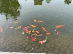 -白马涧龙池景区