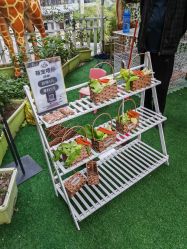 -可可天空农场(中大店)