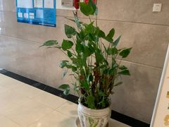 -西安交大南洋大酒店(交通大学青龙寺店)