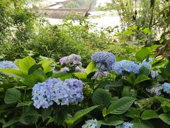 -正宗火盆自助烧烤·烤全羊·柴火鸡(龙泉山店)