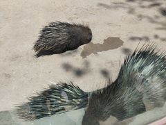-青藏高原野生动物园