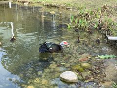 -洪湖家庭农场·团建·露营·会议