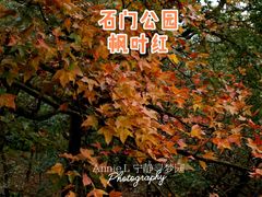 -广州市石门国家森林公园