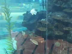 -鸿通城购物中心