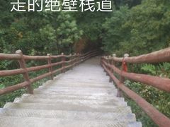 -九皇山景区