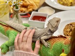 -FAIRYLAND龙族星球主题餐厅(凯丹广场店)