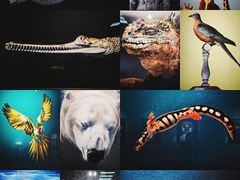 -国家自然博物馆