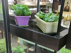 -番食园鲜食火锅(高新店)